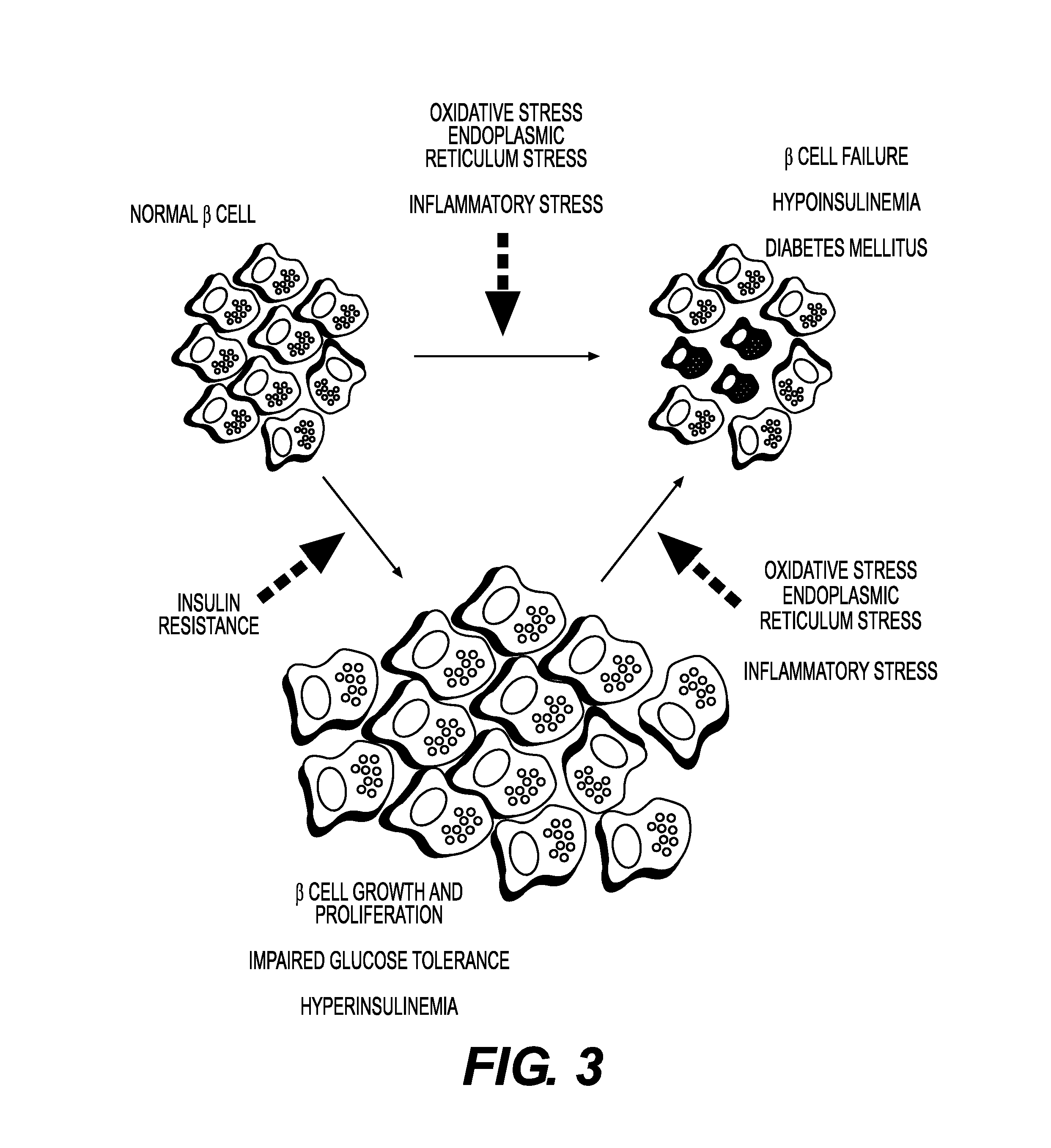 Method of detection of occult pancreatic beta cell dysfunction in normoglycemic patients