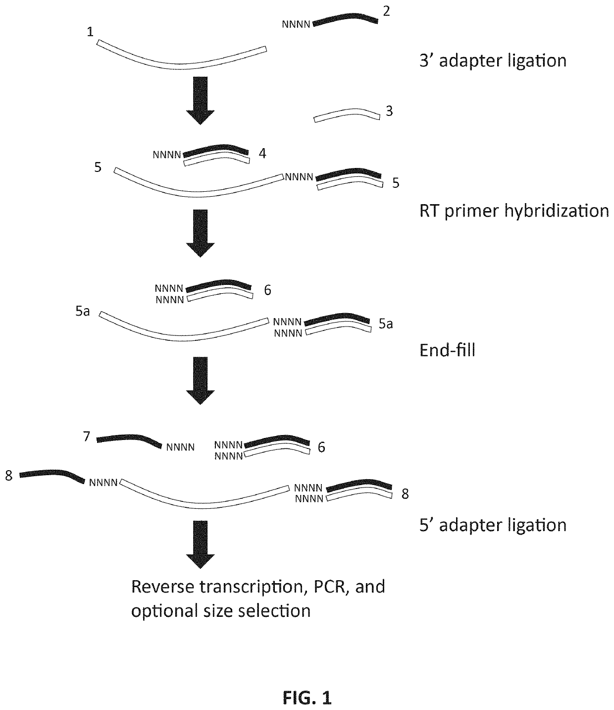 Methods and kits for reducing adapter-dimer formation