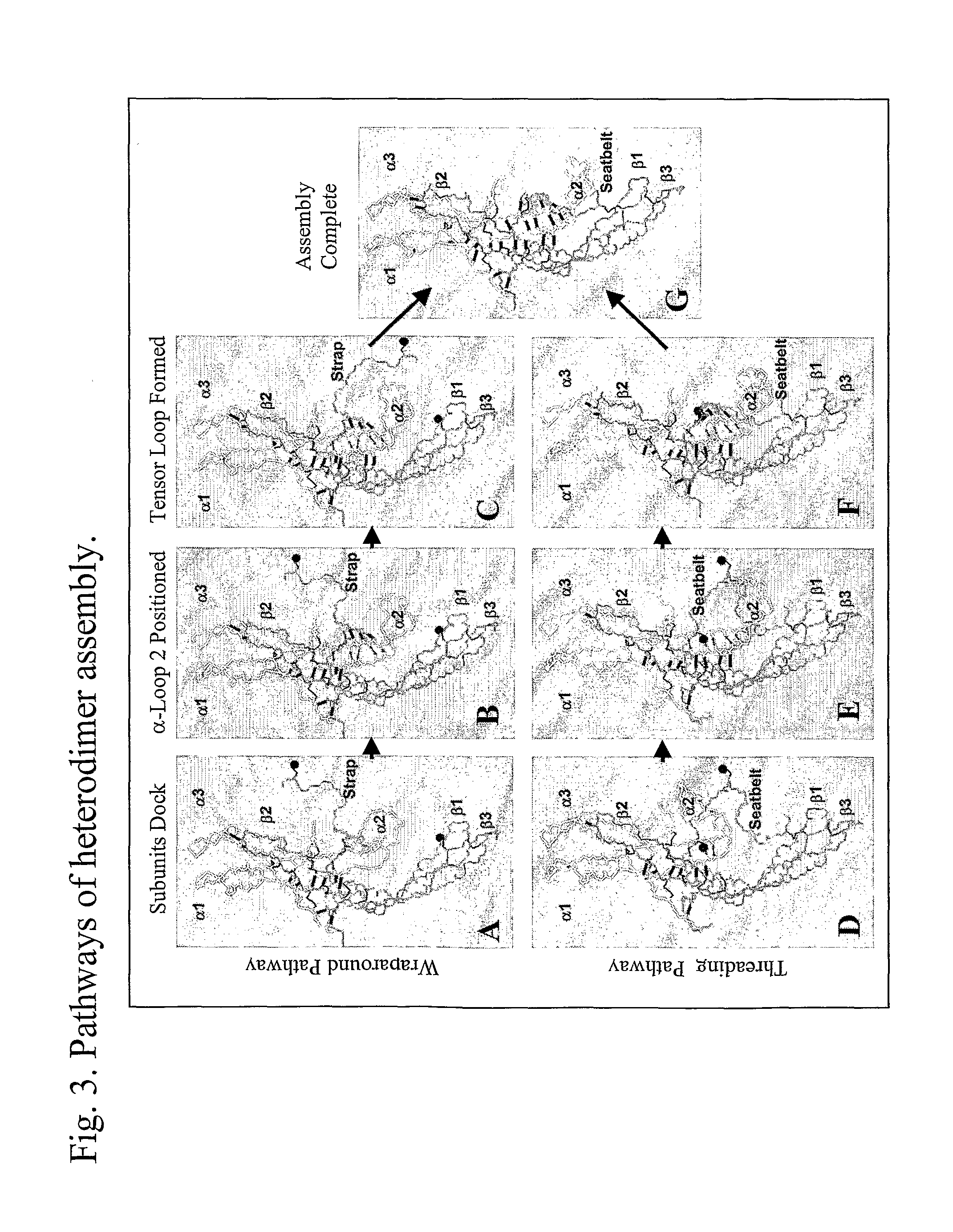 Glycoprotein Hormone Analogs