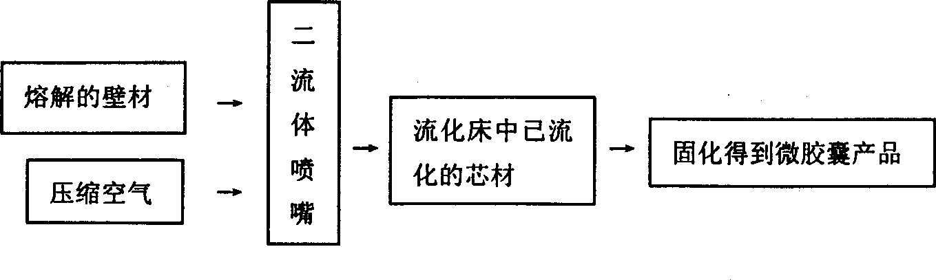 High-hydroscopicity polymer resin microcapsule and its production process