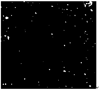 Graphene anticorrosion coating for photovoltaic device and preparation method