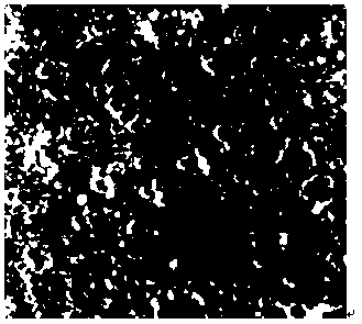 Graphene anticorrosion coating for photovoltaic device and preparation method