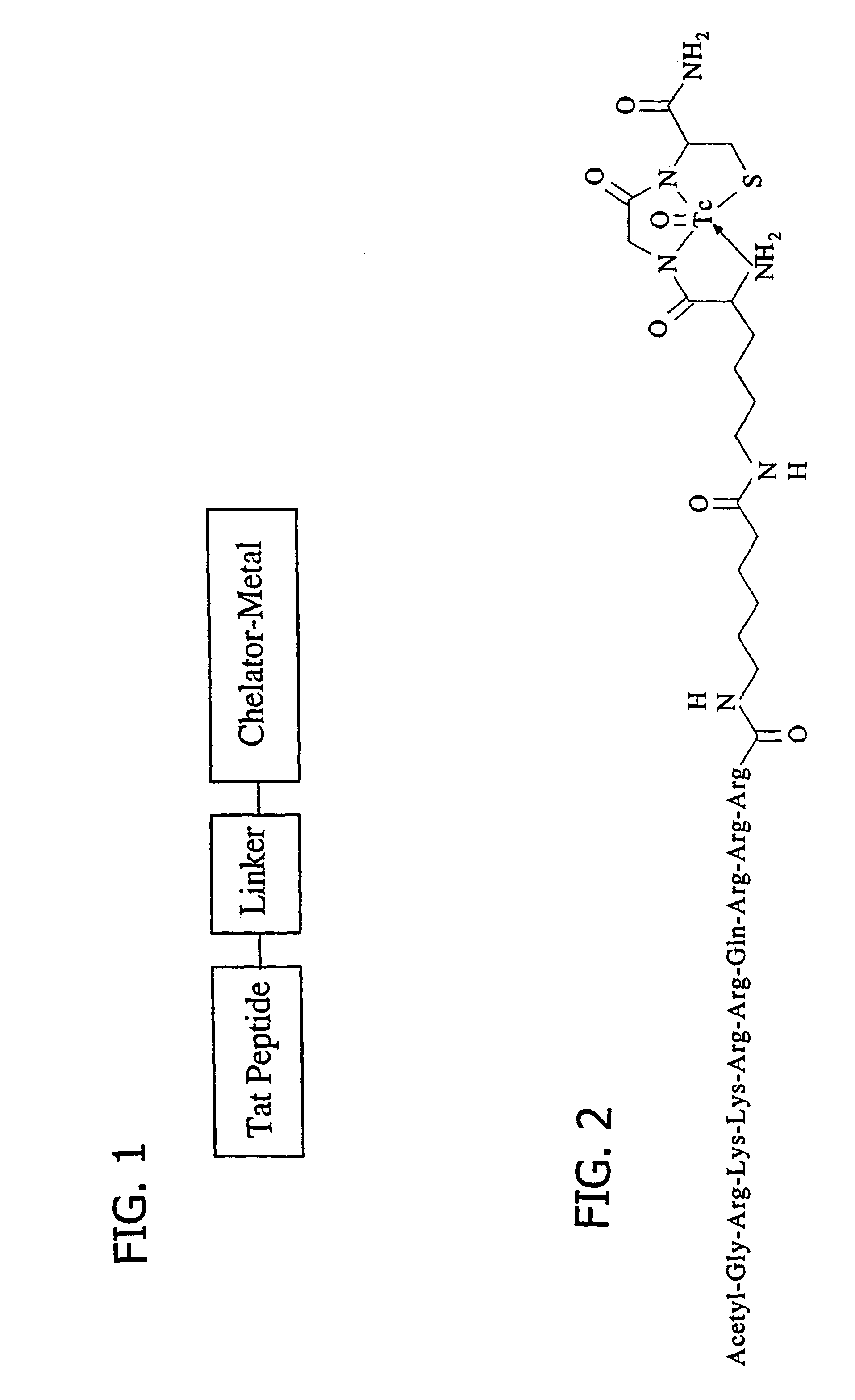 Membrane-permeant peptide complexes for treatment of sepsis