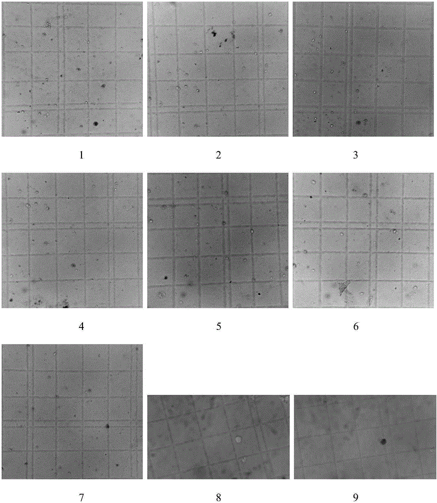 System for characterizing macrophage phagocytosis microorganisms of pompanos