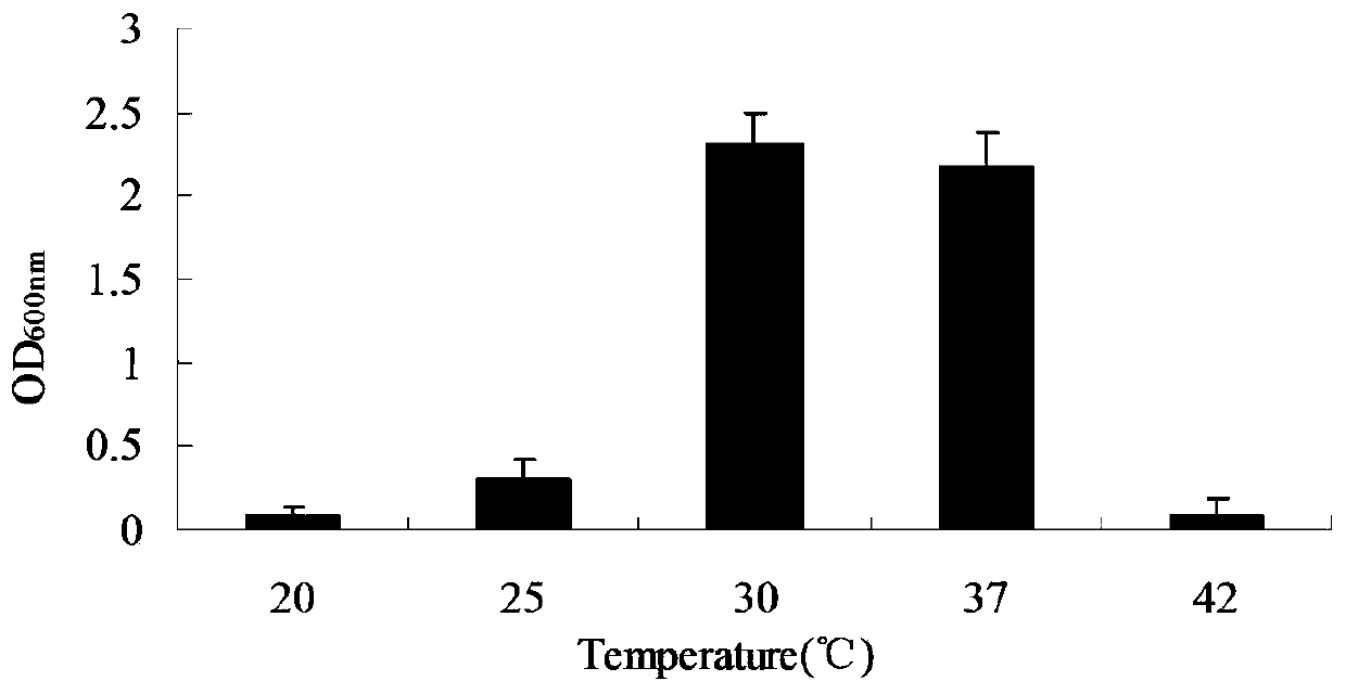 A bacterial strain for degrading phenolic compounds and its application