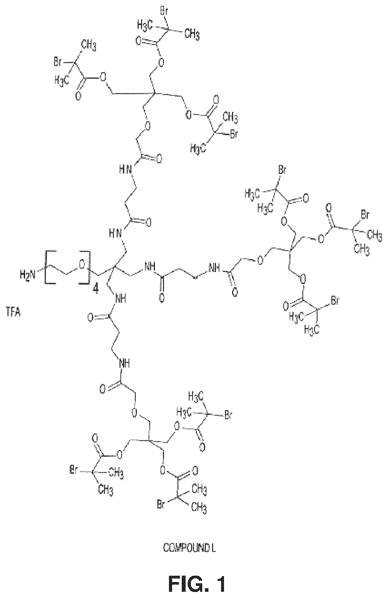 Antibodies and conjugates thereof