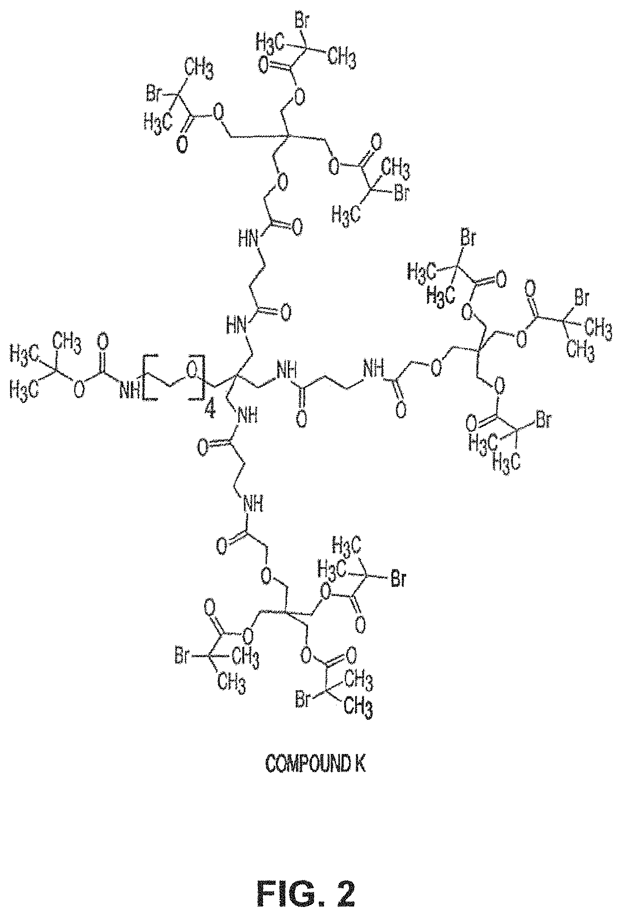 Antibodies and conjugates thereof