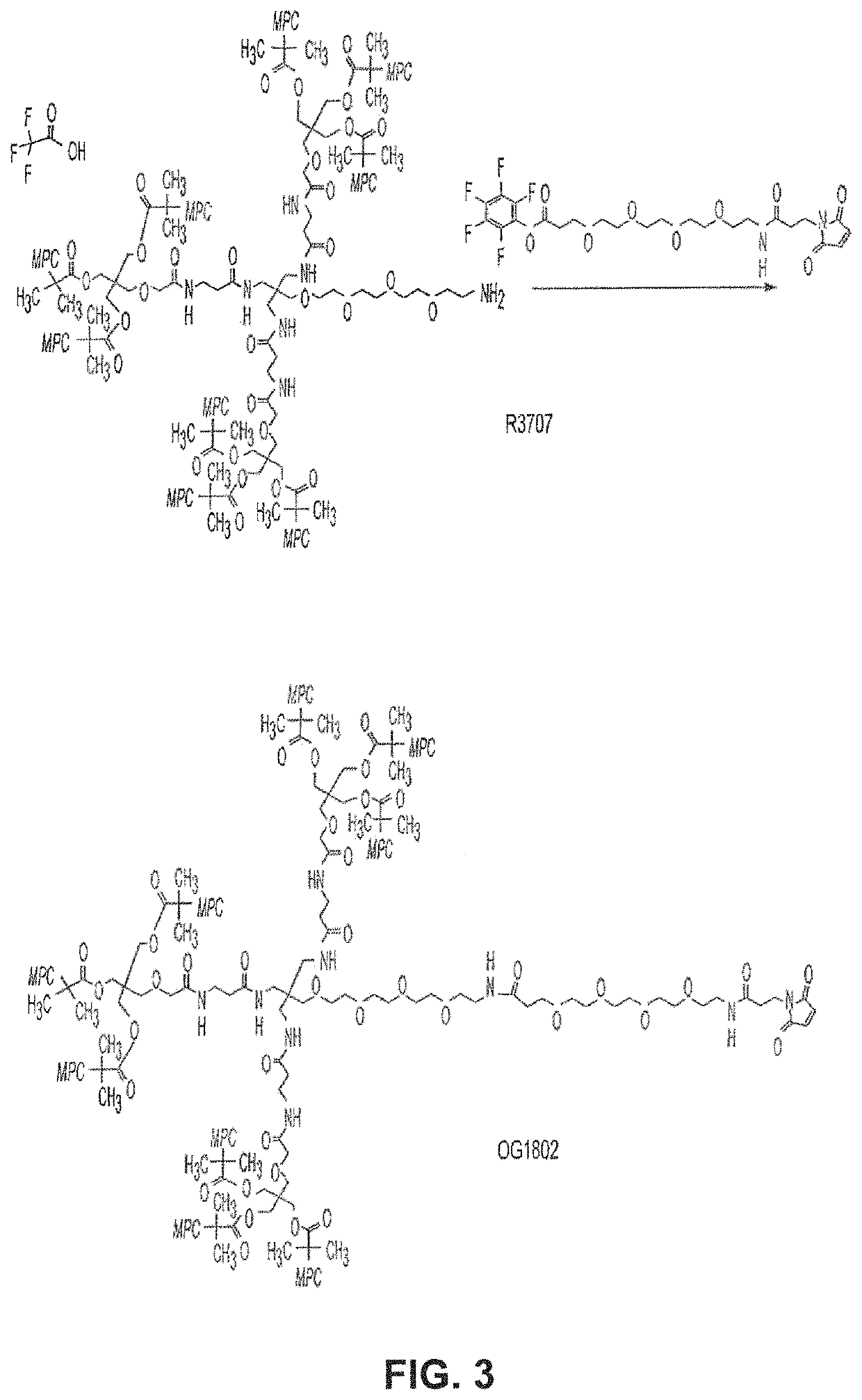 Antibodies and conjugates thereof