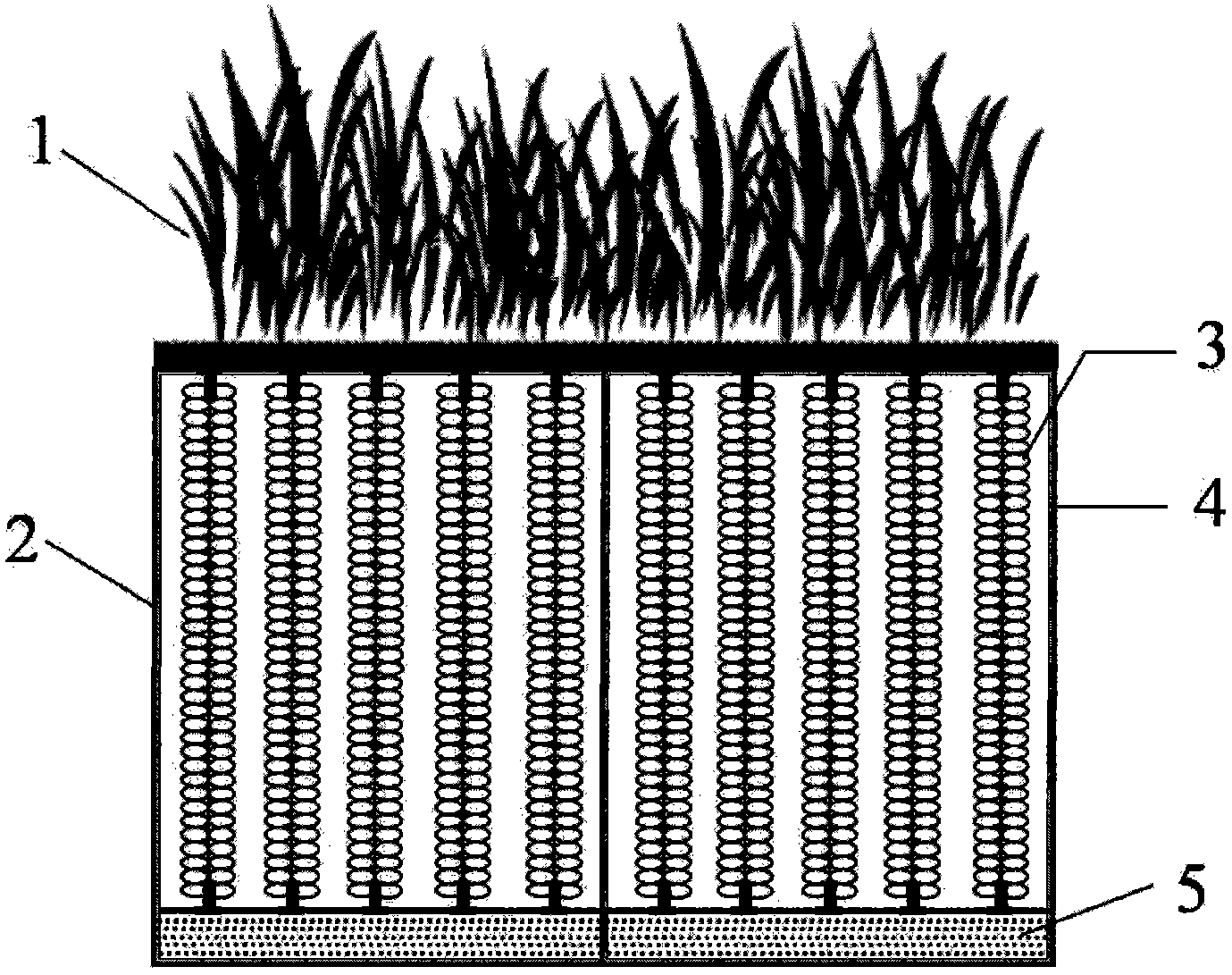 Bio-rope strengthened phytoremediation system for purifying polluted river