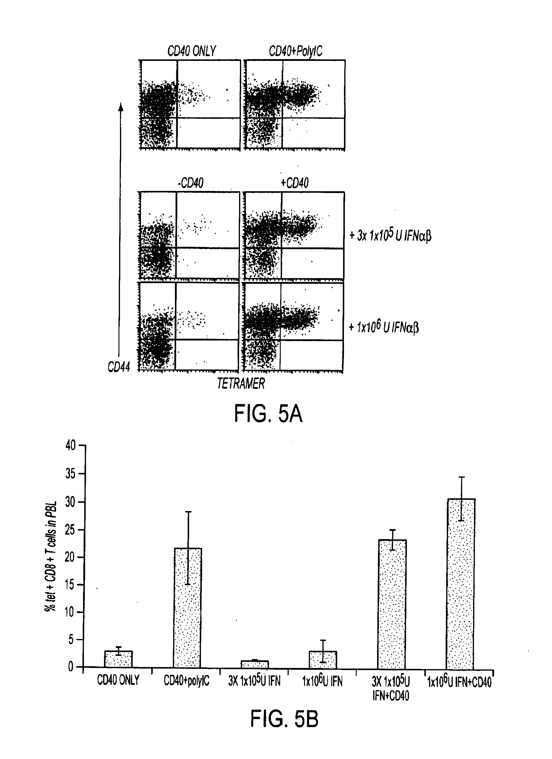 Cd40 agonist antibody/type 1 interferon synergistic adjuvant combination, conjugates containing and use thereof as a therapeutic to enhance cellular immunity