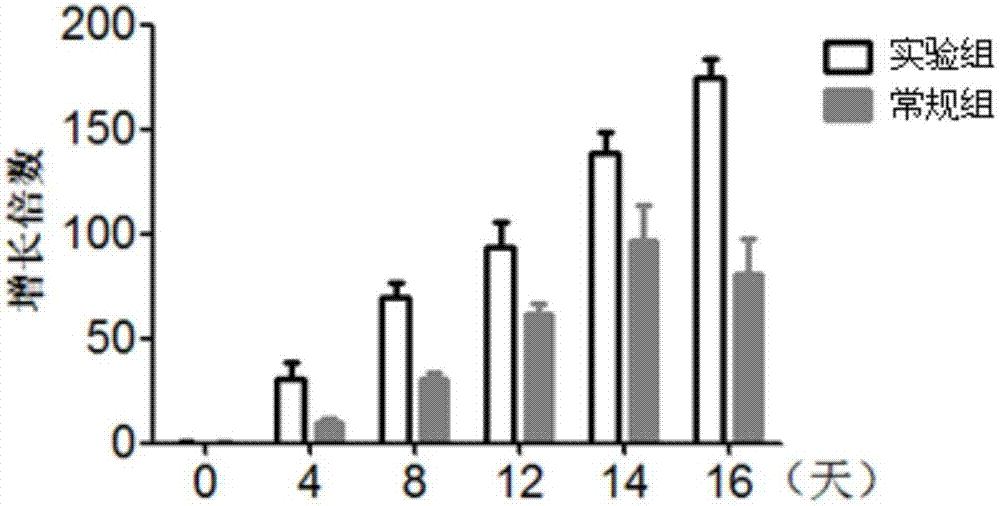 Lymphocyte population with memory stem T cells as main component and in-vitro efficient amplification method of lymphocyte population