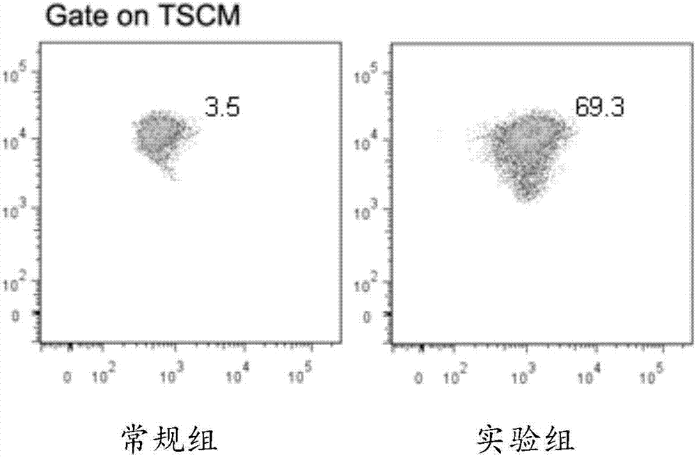 Lymphocyte population with memory stem T cells as main component and in-vitro efficient amplification method of lymphocyte population