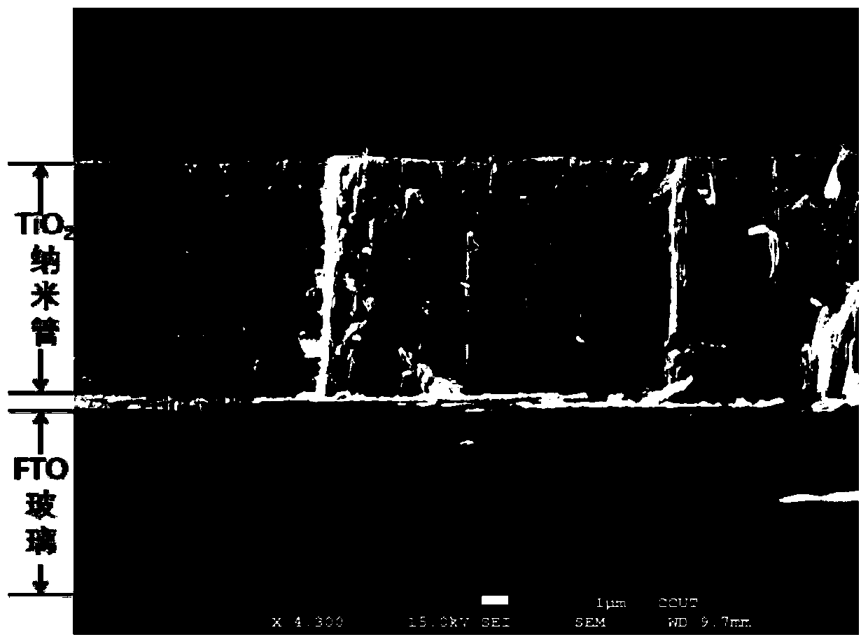 Monitoring method and system used for in-situ real-time characterization of solar cell internal interface