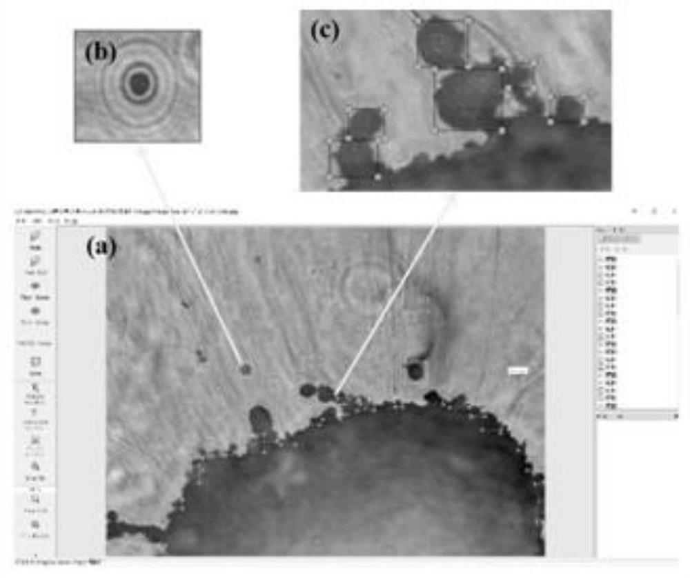 Target detection method for rapidly identifying aluminum combustion particles in holographic image