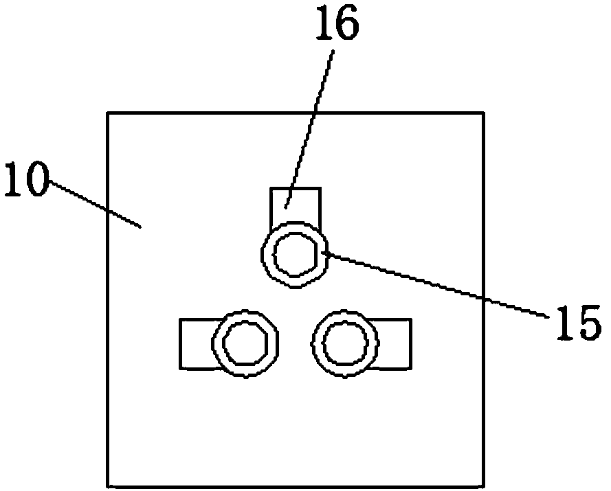 Cattle and sheep feeding device