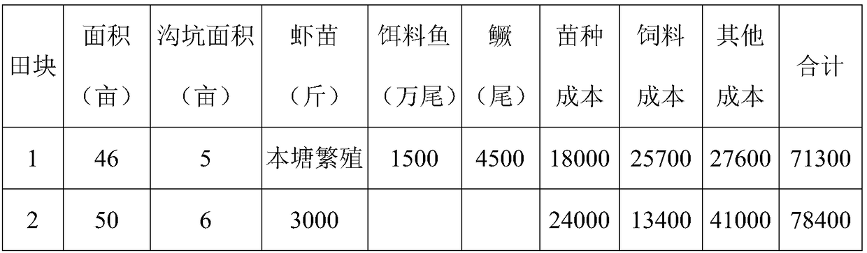 Rice field crop rotation ecological mode for rice-shrimp intergrowth and mandarin fish co-cultivation