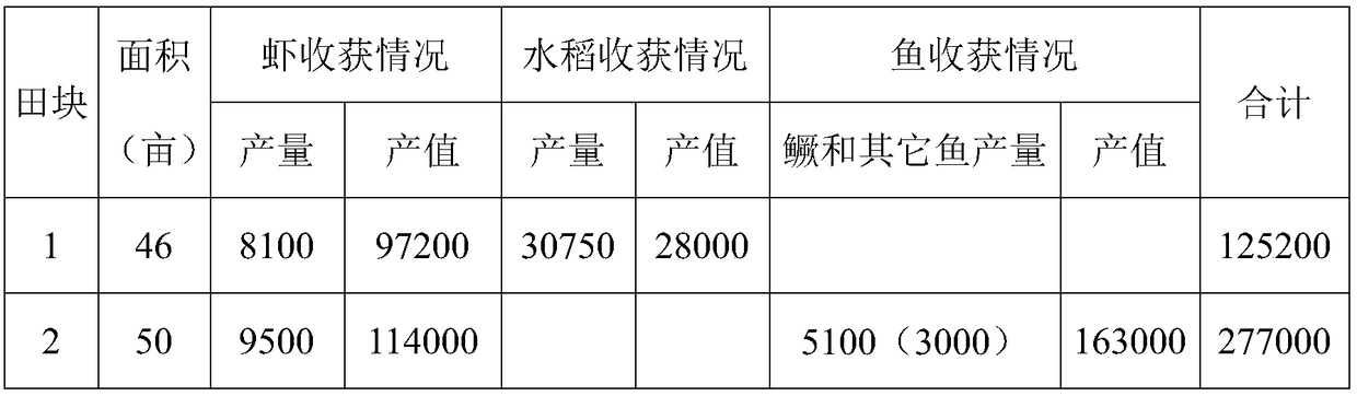 Rice field crop rotation ecological mode for rice-shrimp intergrowth and mandarin fish co-cultivation