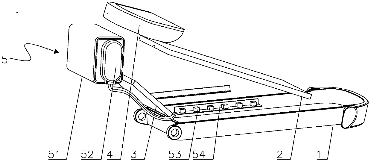 Portable immune-chromatography analysis meter