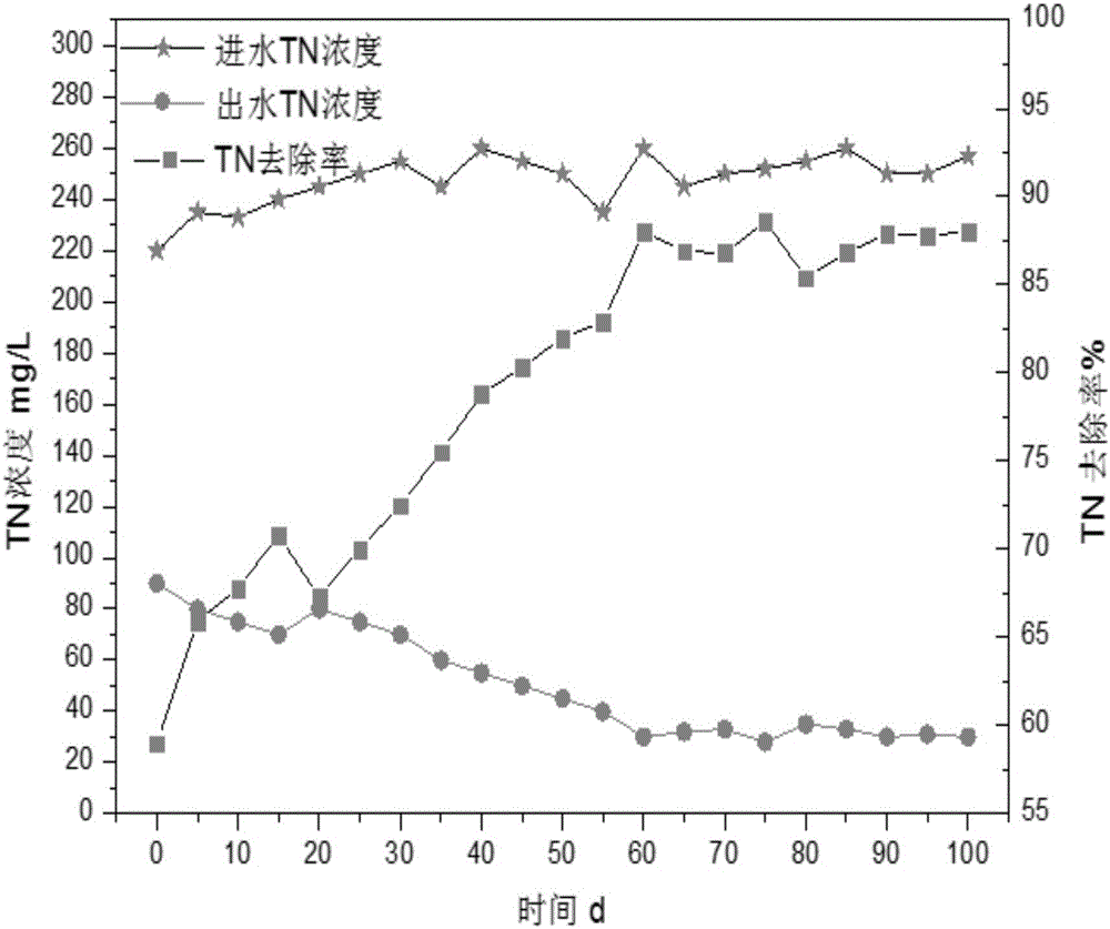 Device and method for autotrophic advanced nitrogen removal biological treatment of mature landfill leachate