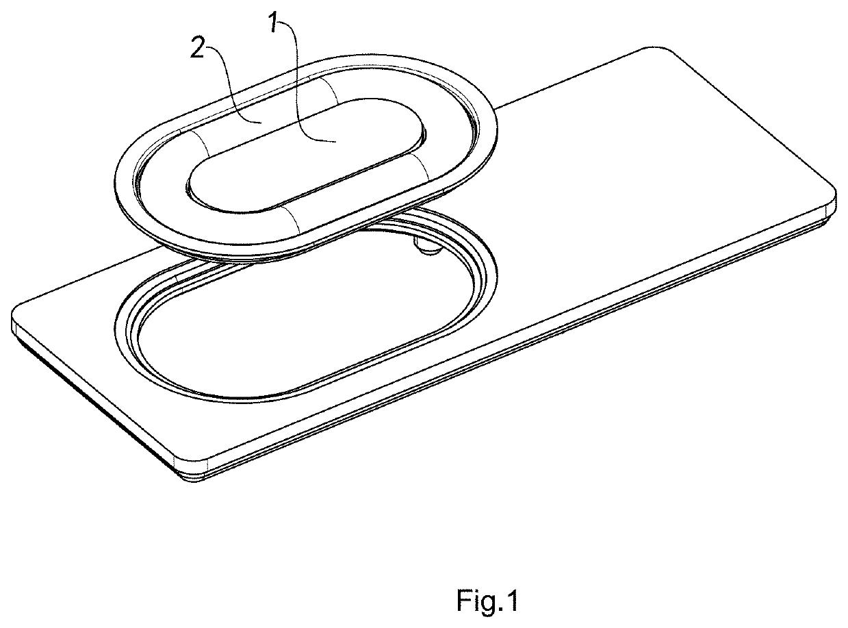 Radiation Device and Dual Suspension Edge Loudspeaker, Loudspeaker Box, and Application Thereof