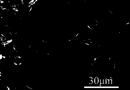 Method for preparing (Y1-xEux)2(OH)5NO3.nH2O oversized rare-earth layered hydroxide compound particles