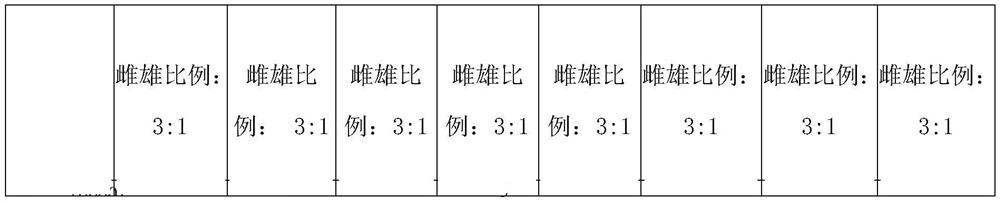 Method for performing in situ breeding of cherax quadricarinatus through planting regions of paddy fields in slack winter season