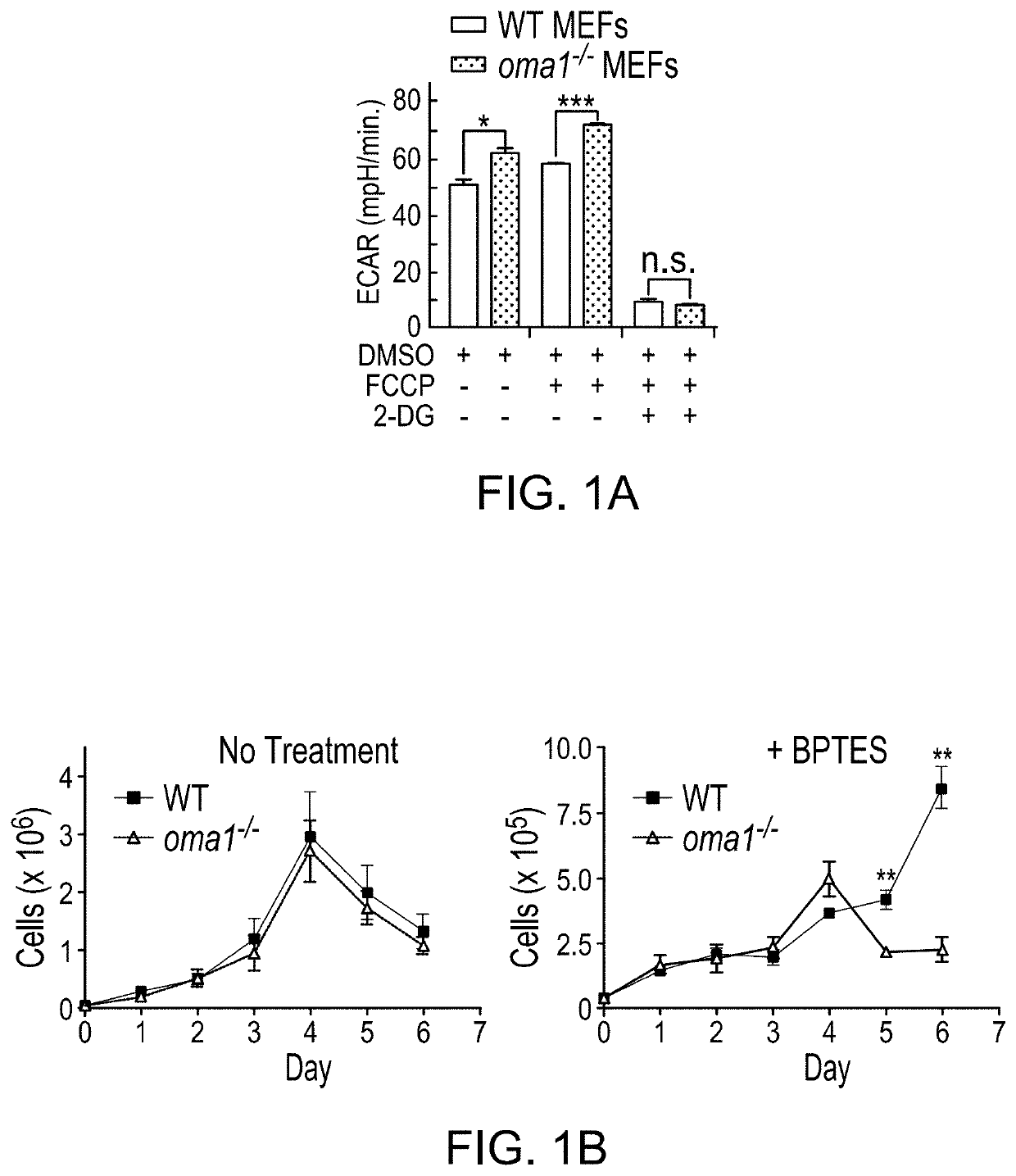 Mitochondrial protease oma1 as a marker for breast cancer