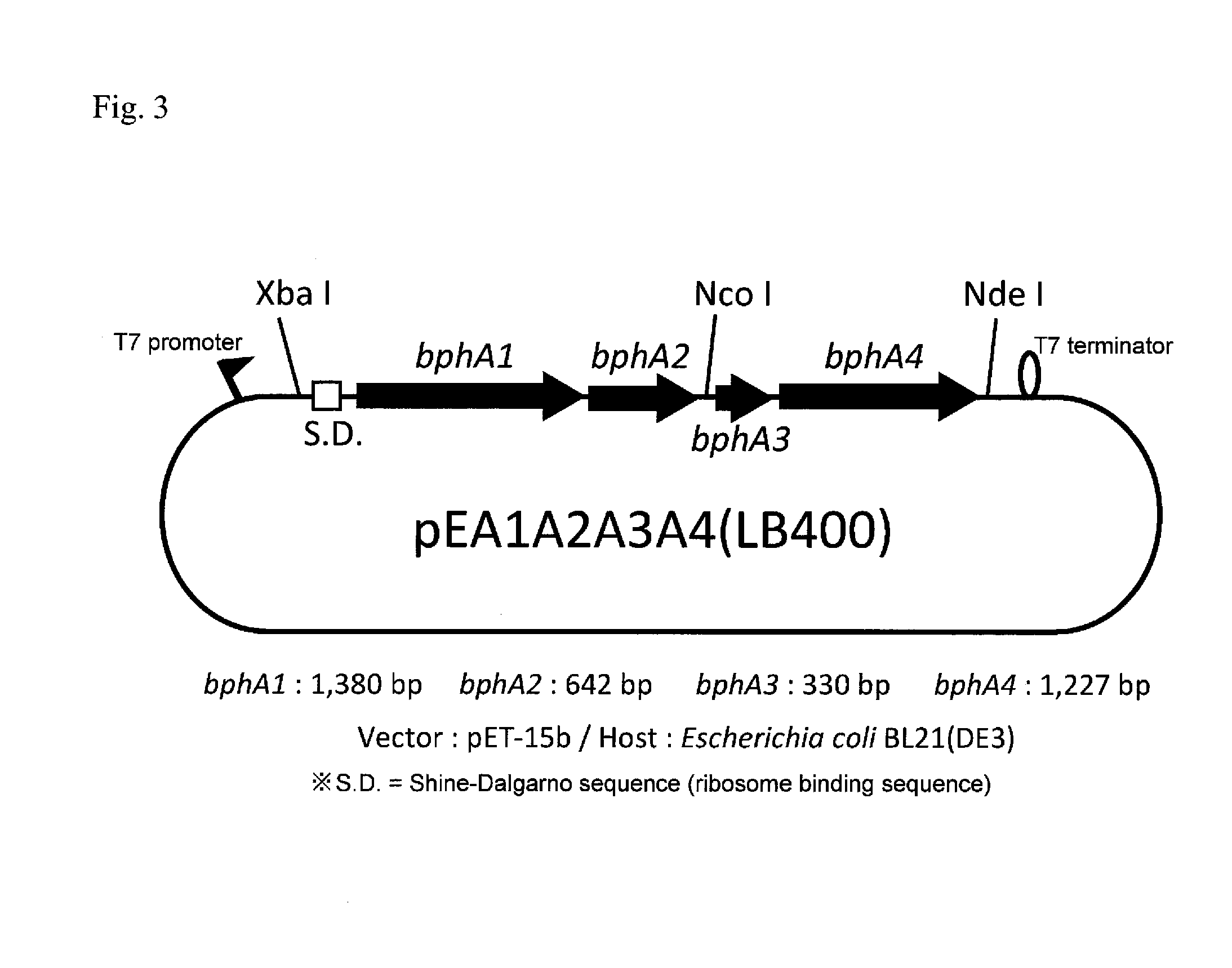 Polychlorinated biphenyl detoxifying complex composition and method for manufacturing same