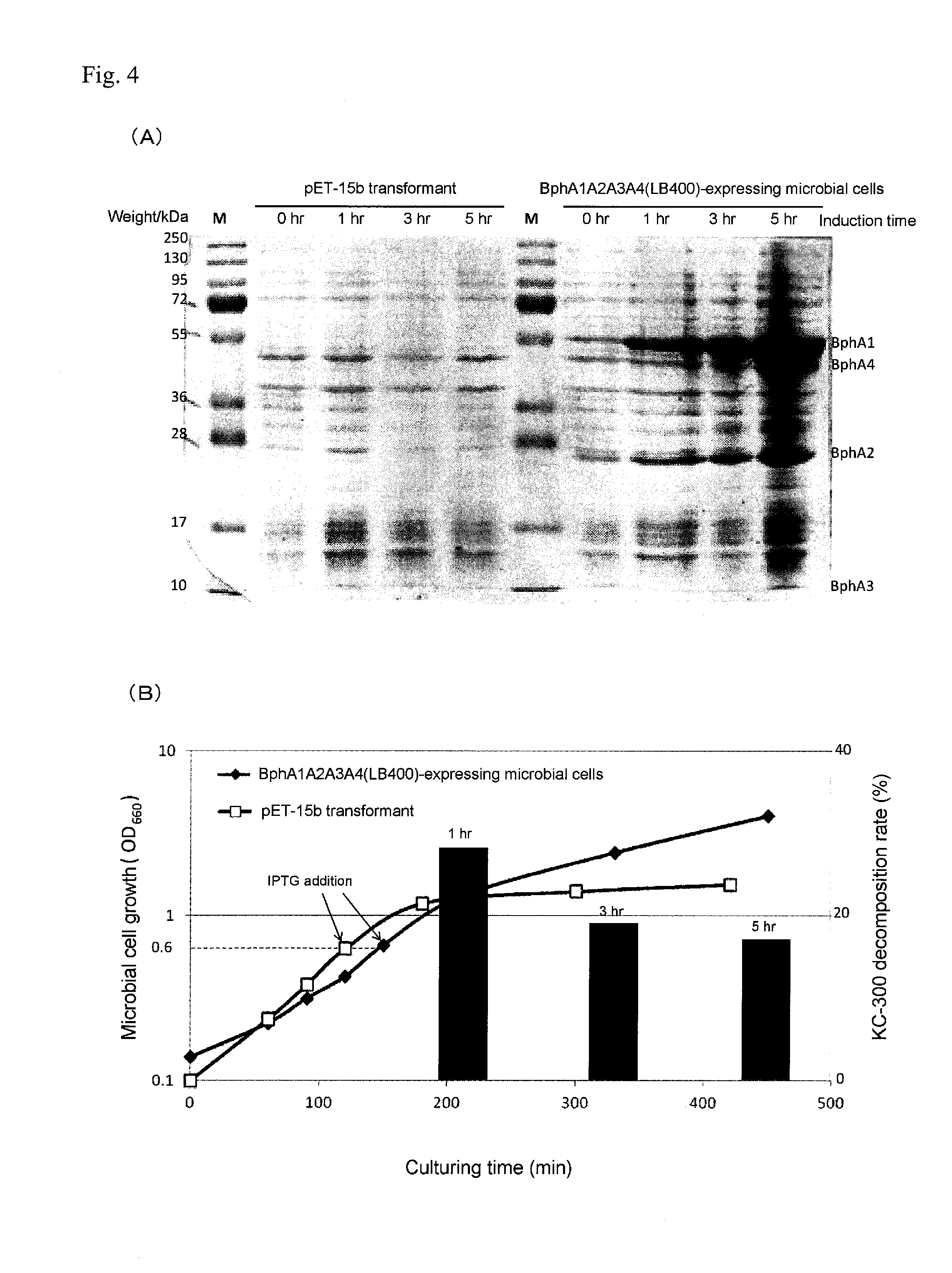 Polychlorinated biphenyl detoxifying complex composition and method for manufacturing same