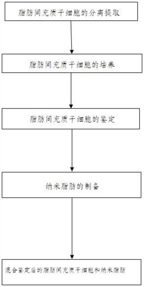 Preparation method of proportion mixture of adipose-derived mesenchymal stem cells and nano fat