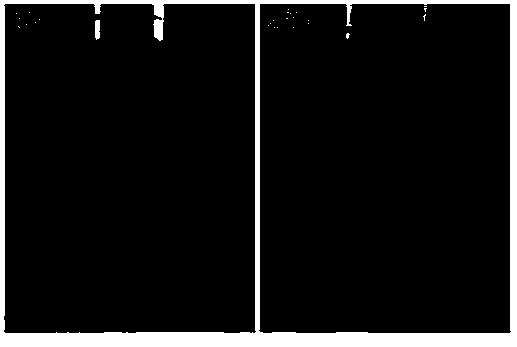 Preparation method of nano-particles with nano-grade porous structure