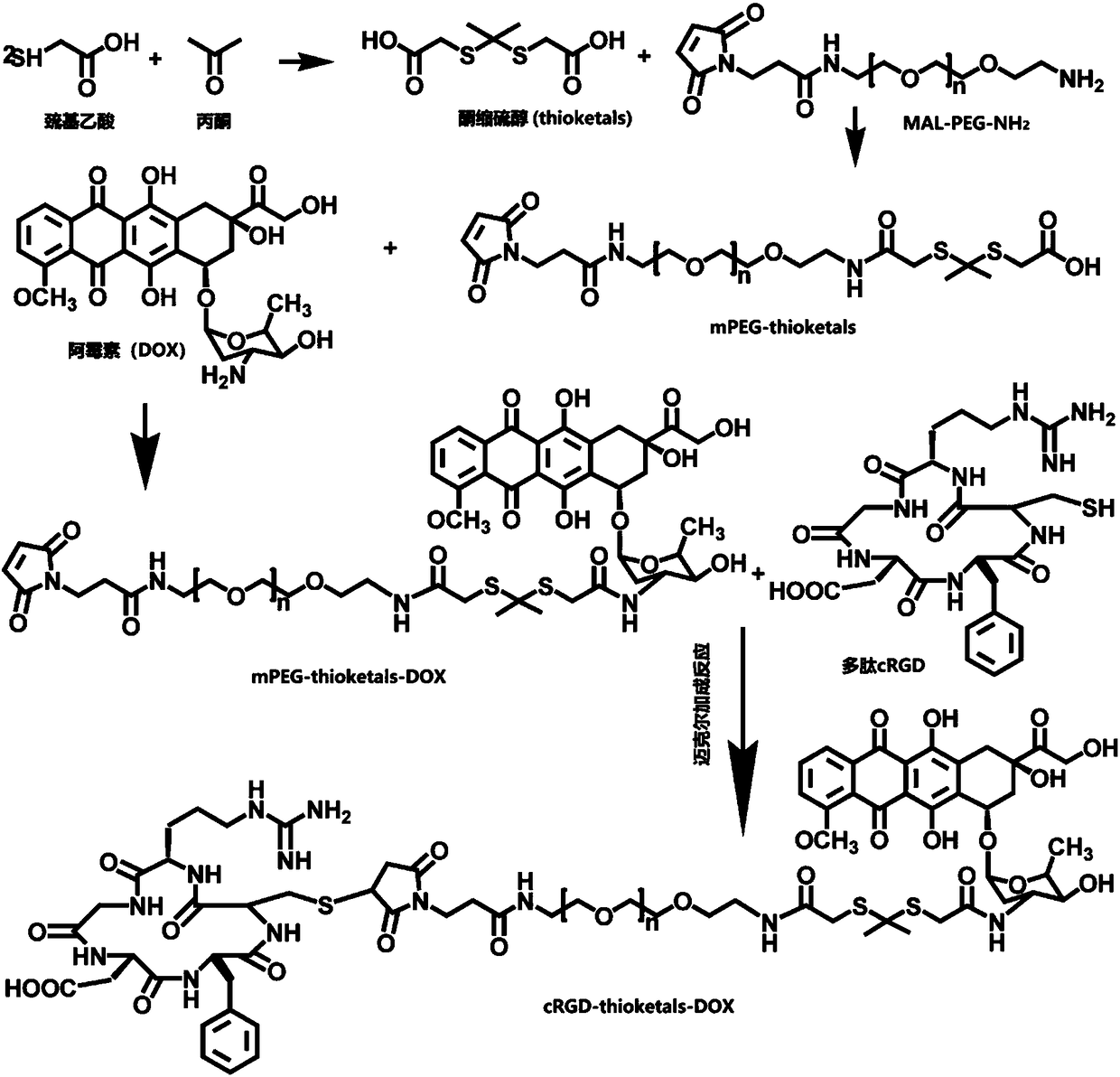 Conjugate, targeted tumor active oxygen responsive medicine carrying nano-micelle as well as preparation methods and application thereof