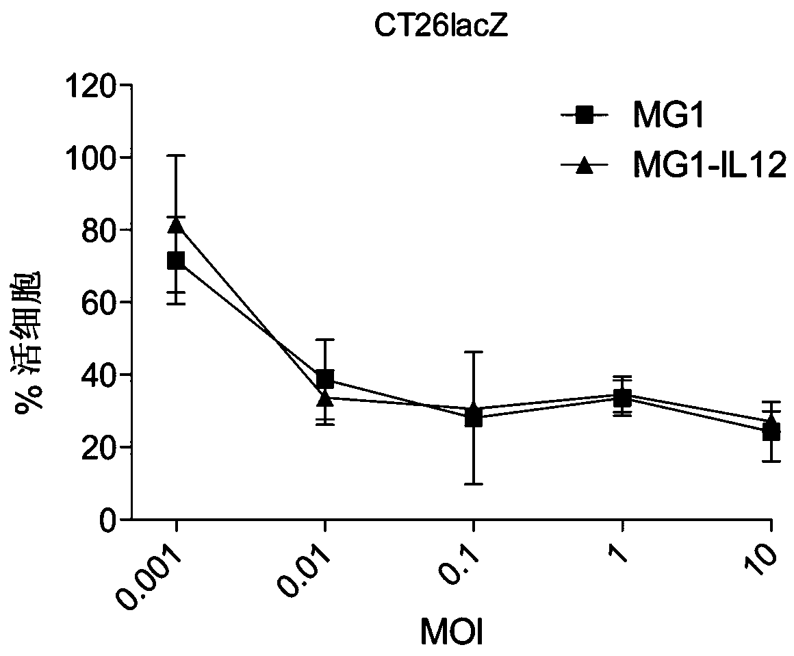 Oncolytic rhabdovirus expressing il12