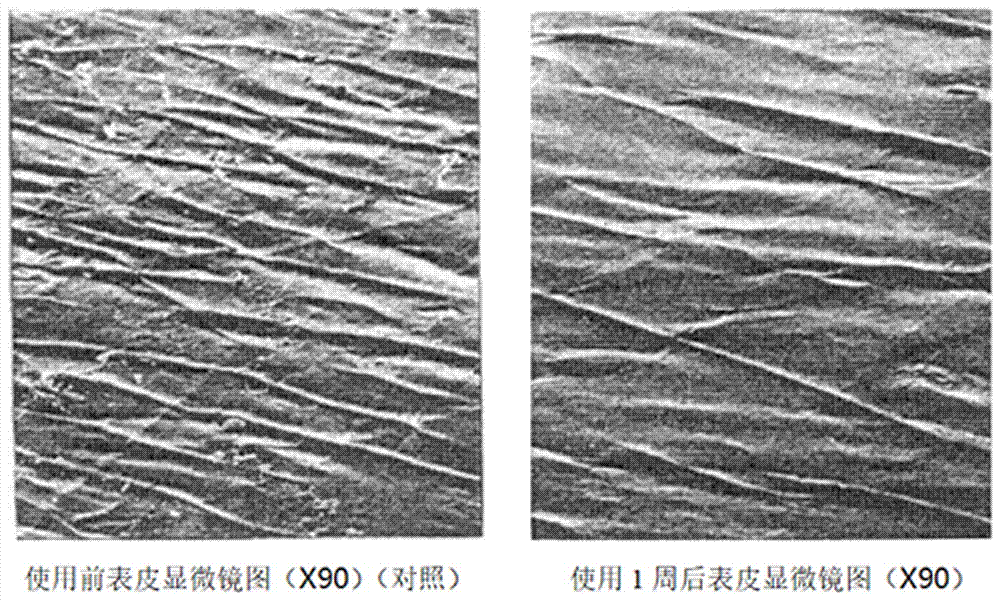 Moisturizing and leisurely facial mask and preparation method thereof