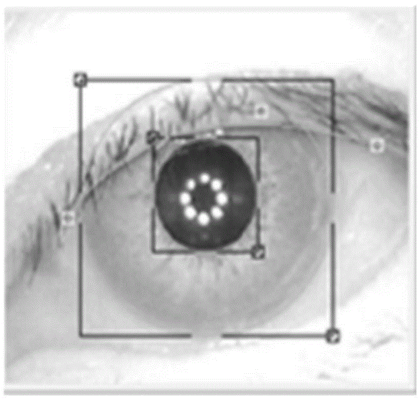 Iris positioning method and device