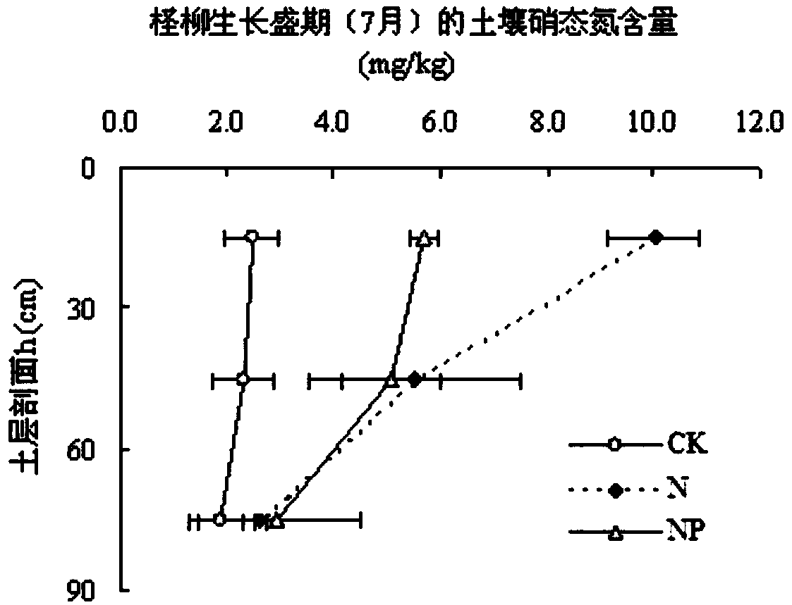 Method for promoting rapid growth of tamarix chinensis in severe saline-alkali soil