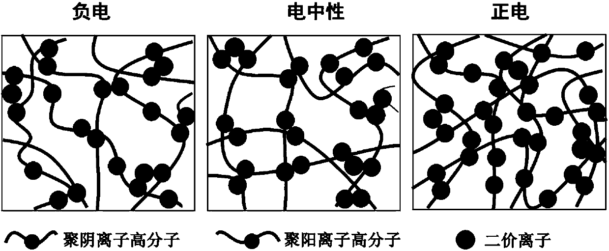 Anti-bioadhesion polyelectrolyte gel as well as preparation method and application thereof