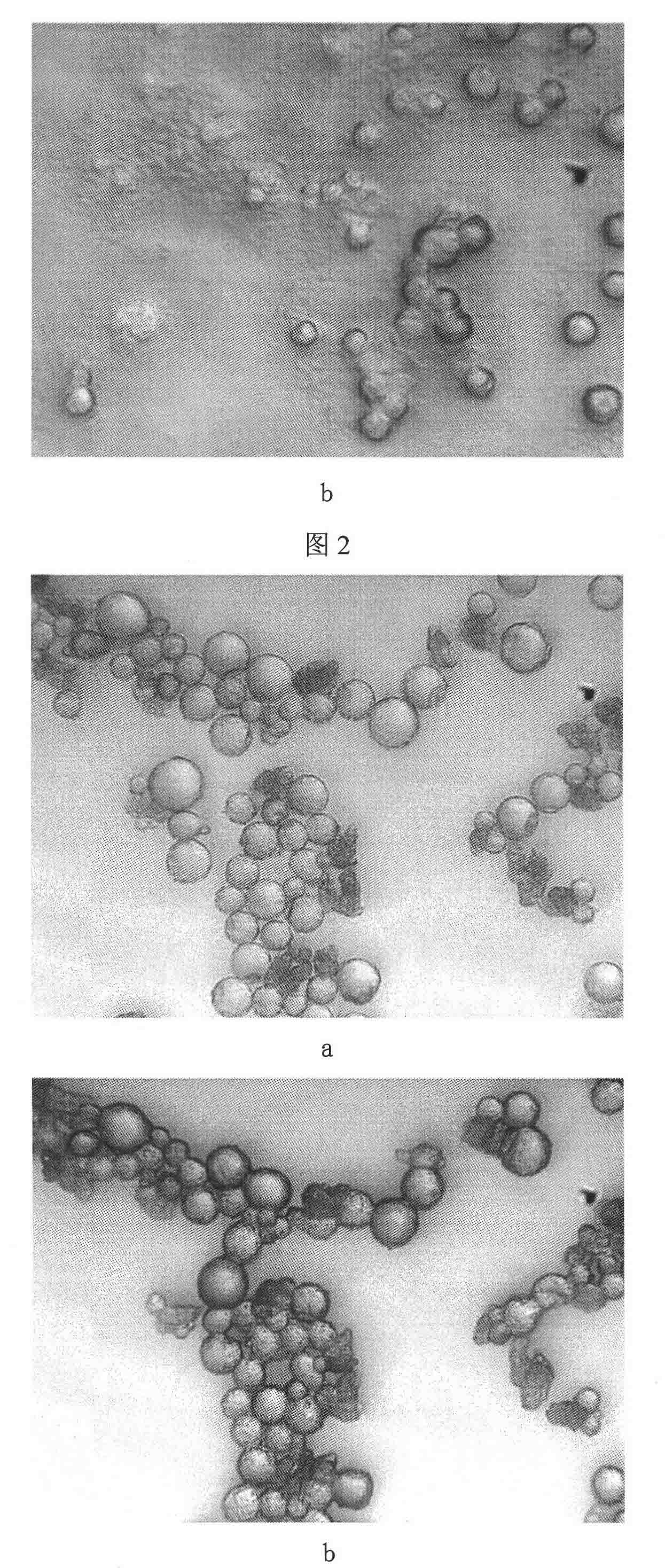 Polyurea-melamin resin double-wall material cetane microcapsule and preparation method thereof