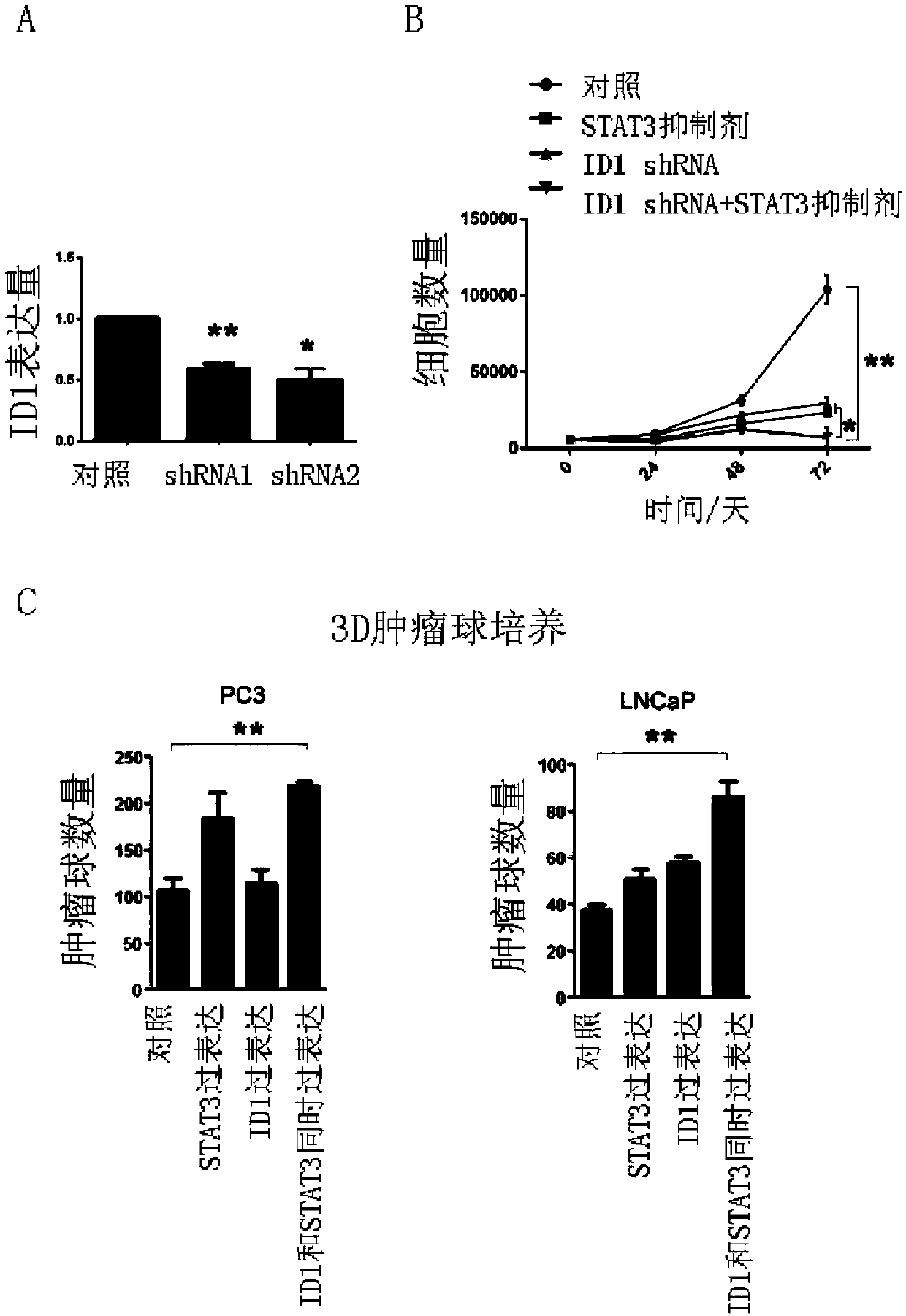 Prostate cancer markers and application thereof