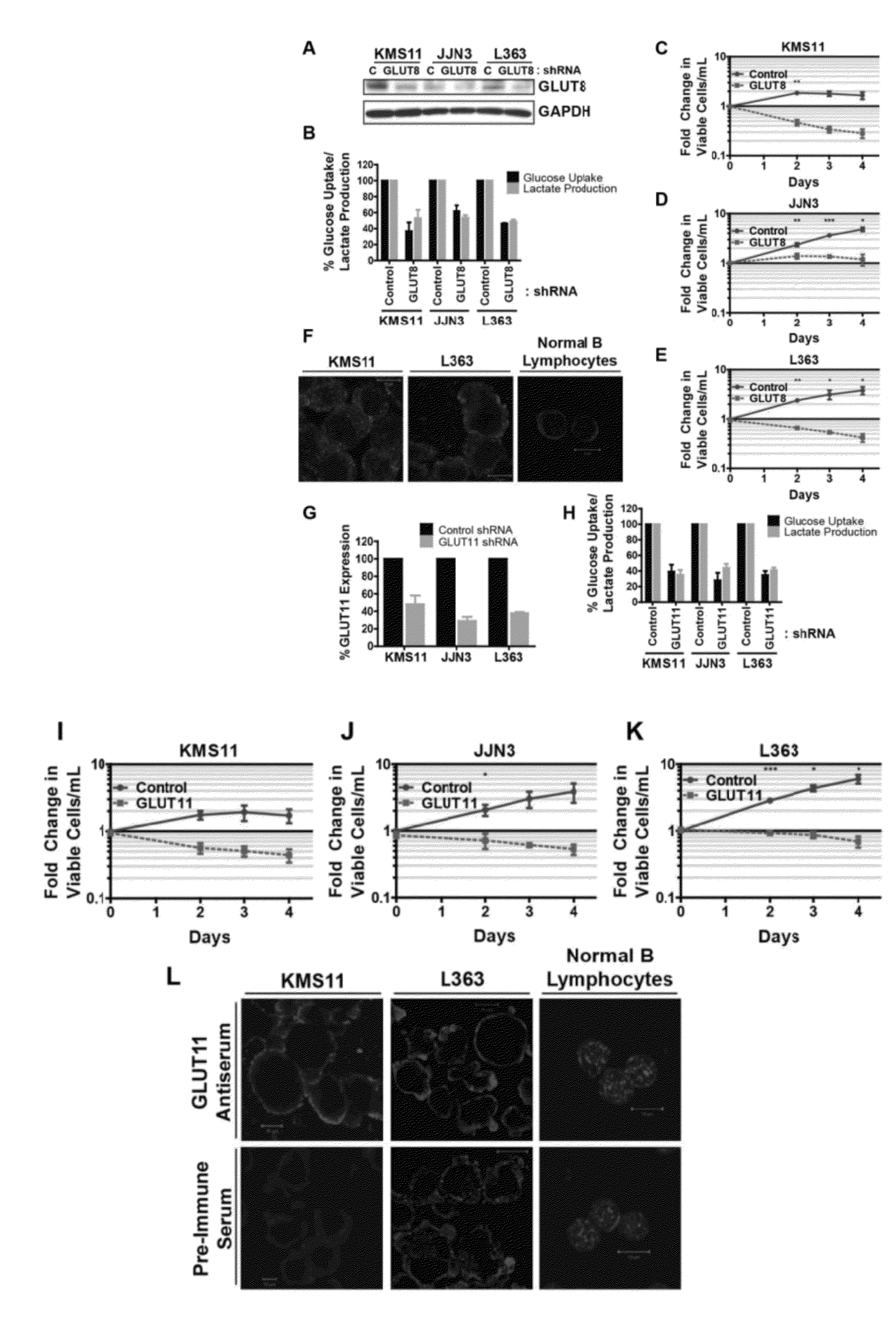 Methods of Treating Cancer with Glut Inhibitors