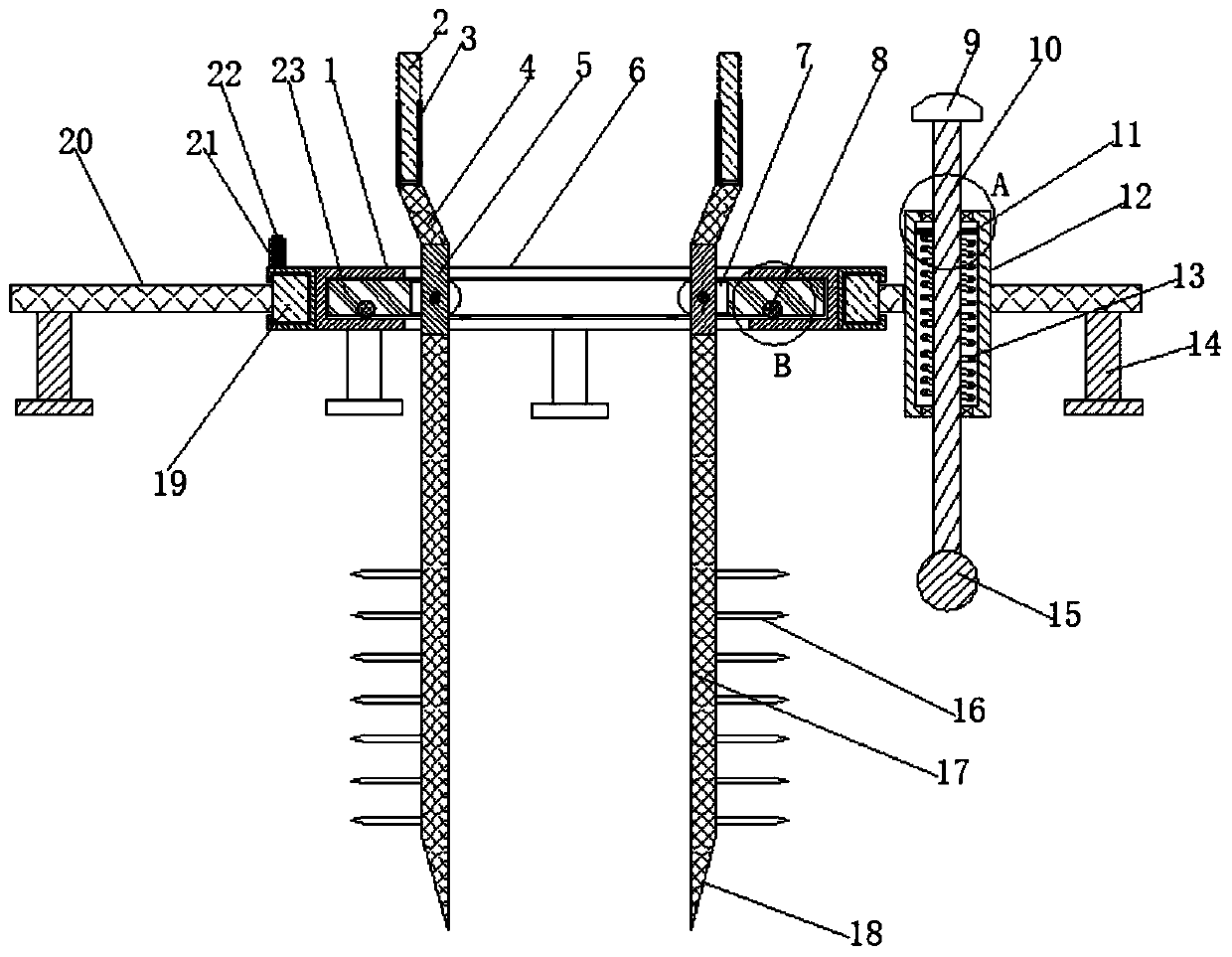 Oilseed rape transplanting and planting device