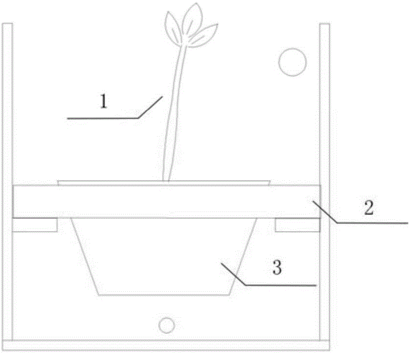 Cultivation system and method for mangrove seedling distributed in north of border of mangrove forest