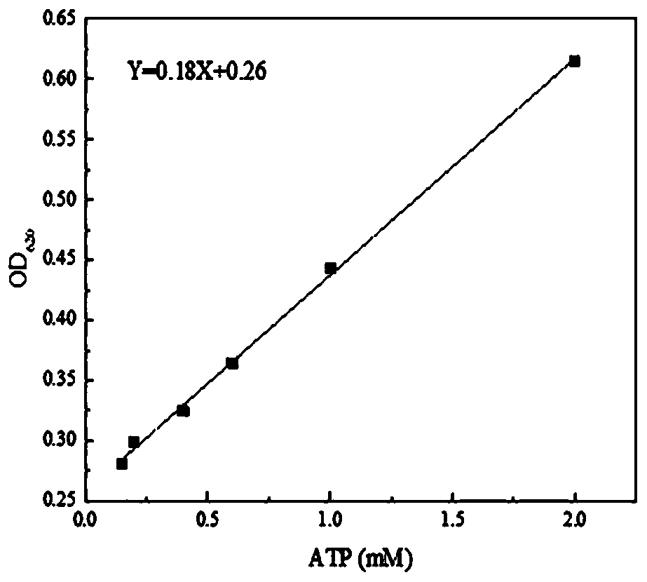 S-adenosylmethionine synthetase mutant and high-throughput screening method thereof