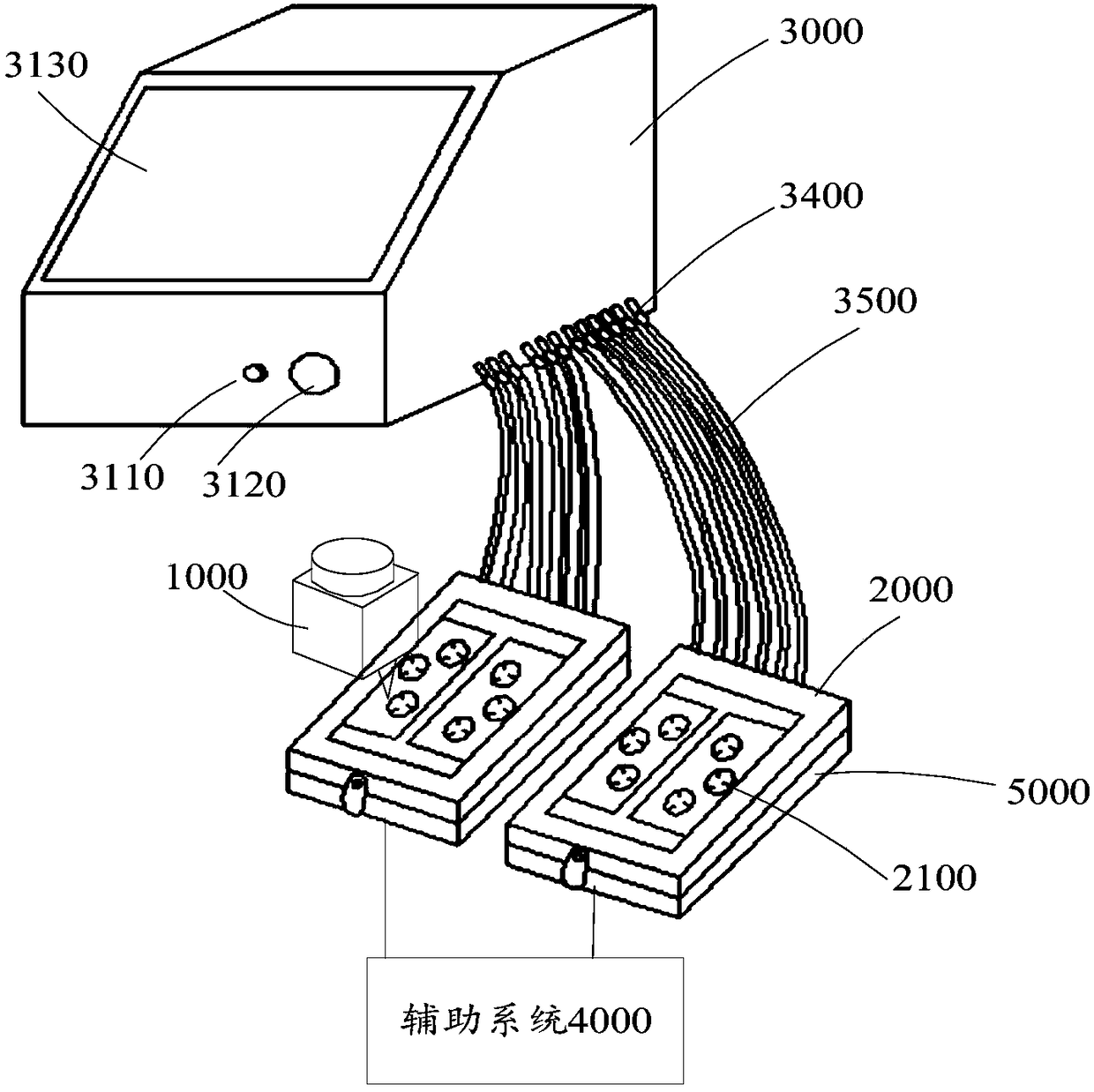 System and method suitable for culturing and real-time monitoring of biological tissue