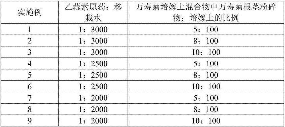 Field planting method preventing tobacco bacterial wilt disease