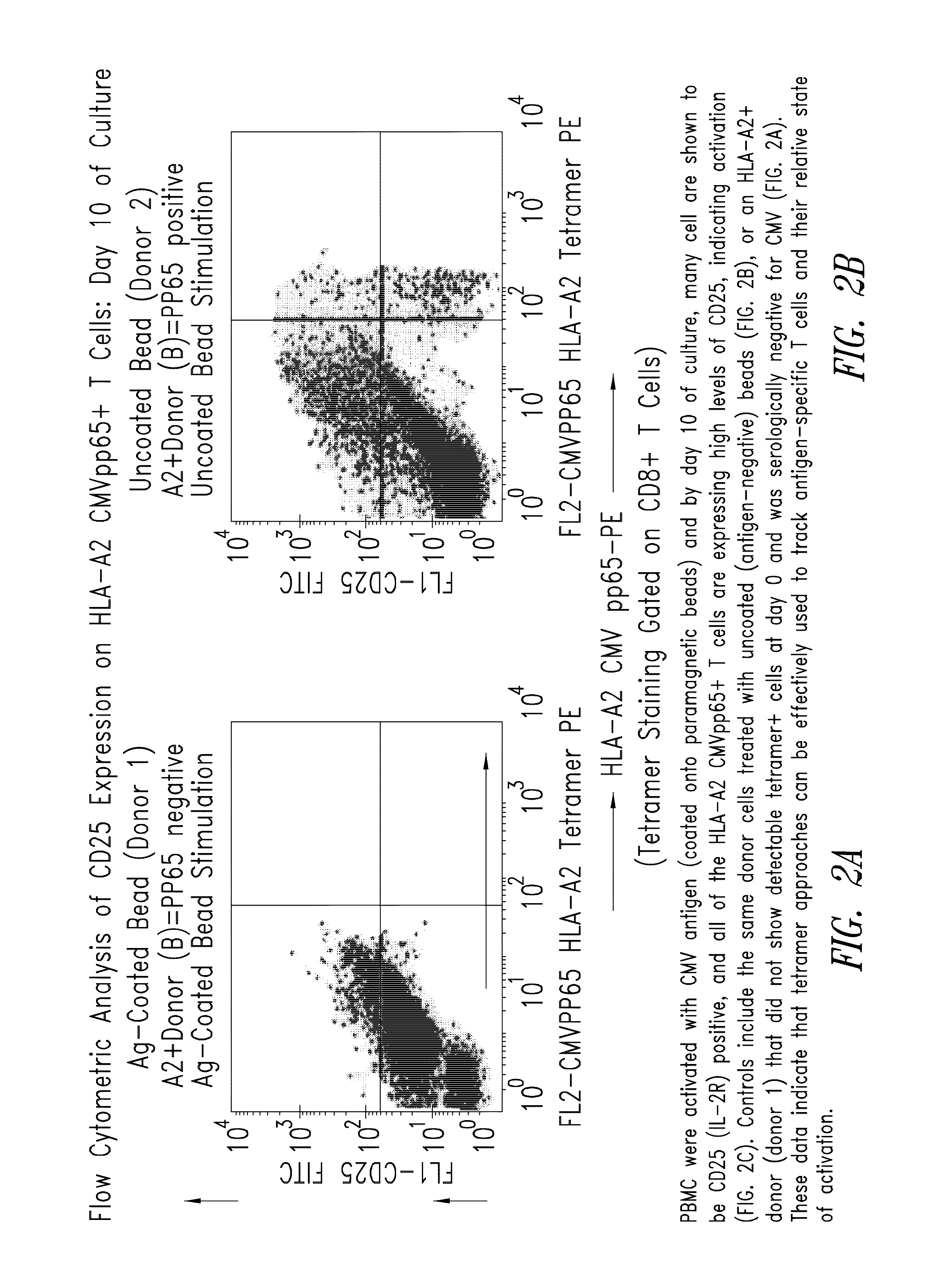 Methods for eliminating at least a substantial portion of a clonal antigen-specific memory T cell subpopulation