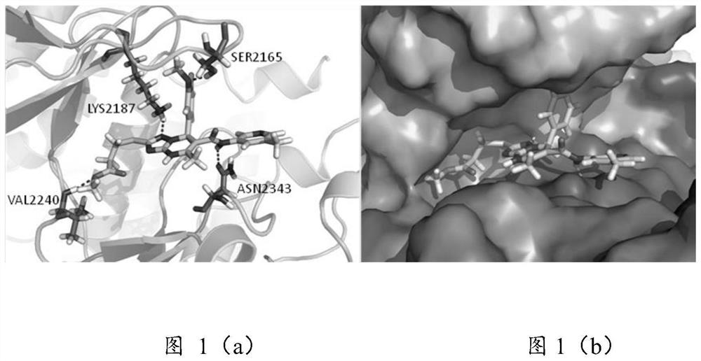 A kind of triazolopyrimidine compound and its preparation method and application