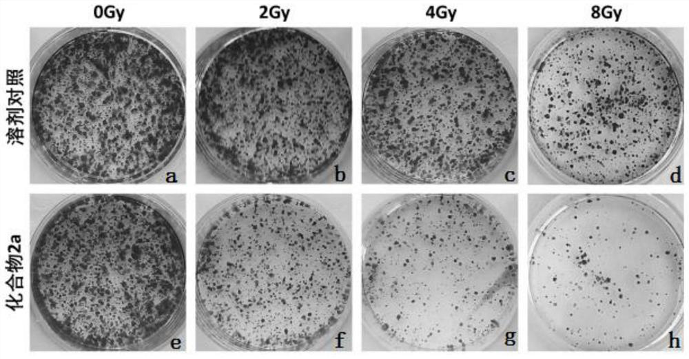 A kind of triazolopyrimidine compound and its preparation method and application