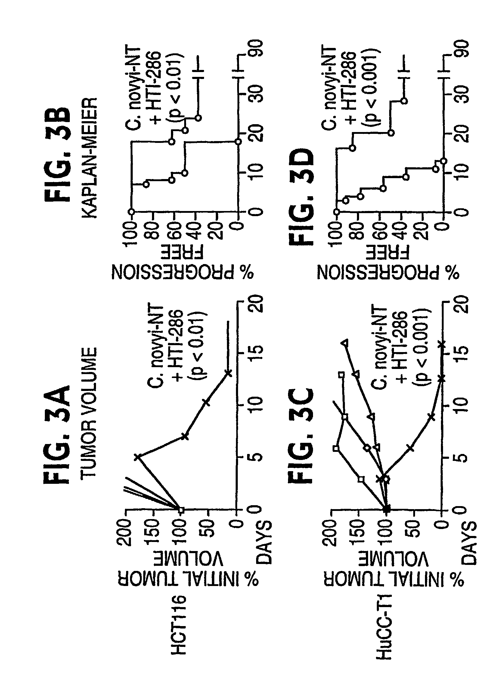 Combination bacteriolytic therapy for the treatment of tumors