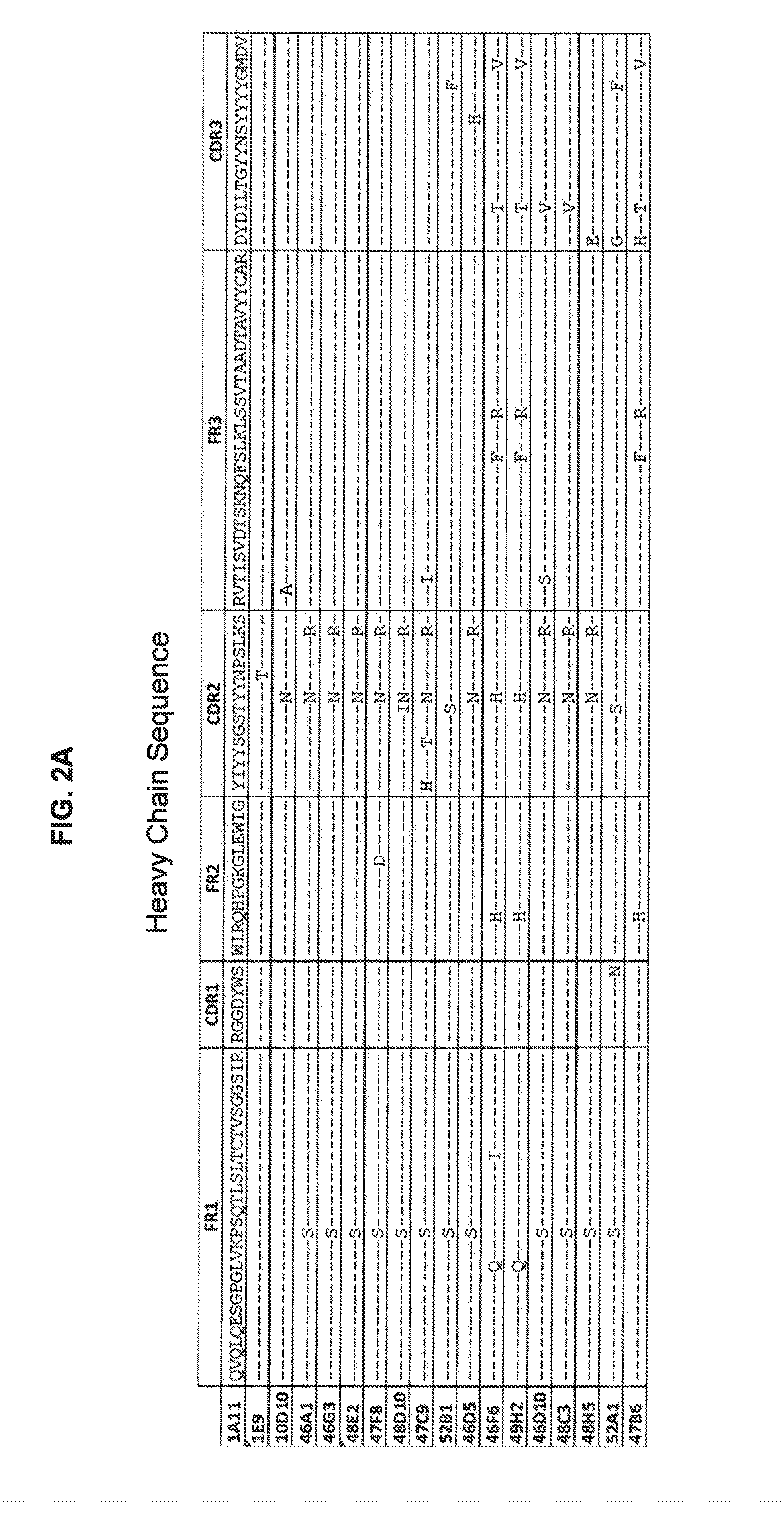 Cb-1 receptor antigen-binding proteins and uses thereof